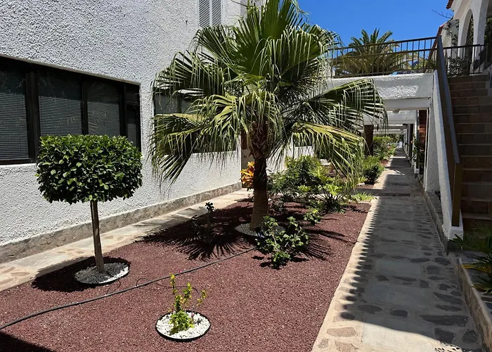 Casa Oceanico Gigantes Ocean View - Renovated 2025